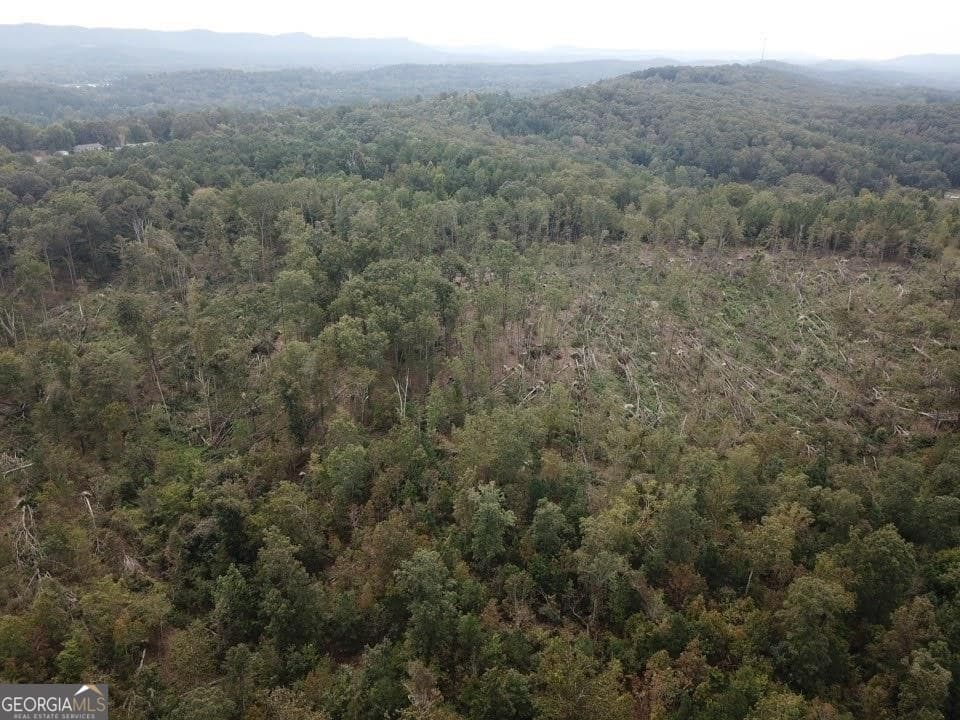 unimproved land for sale at 0 Fruit Farm Road, Summerville, GA 30747 — photo 4