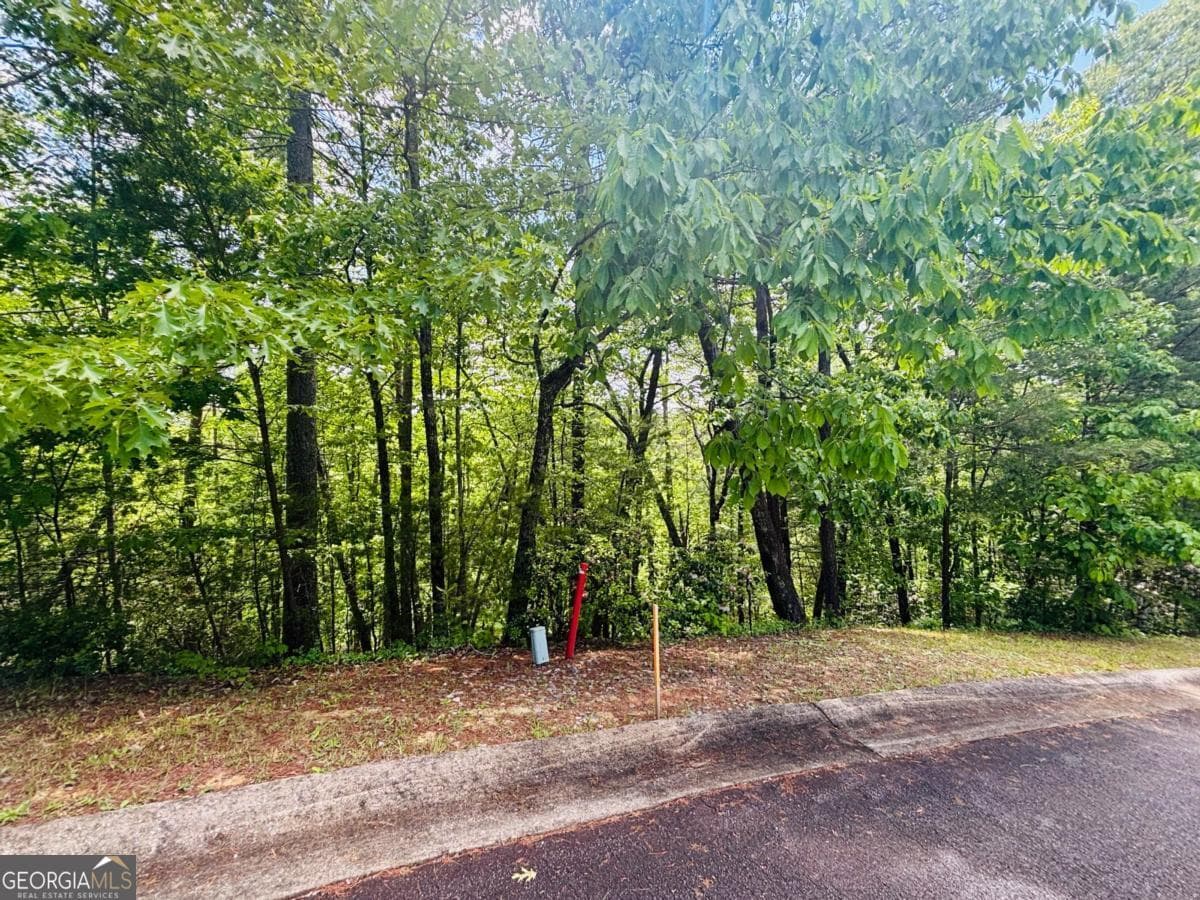 residential lot for sale at 0 Rosen Strasse LOT 141, Helen, GA 30545 — photo 2
