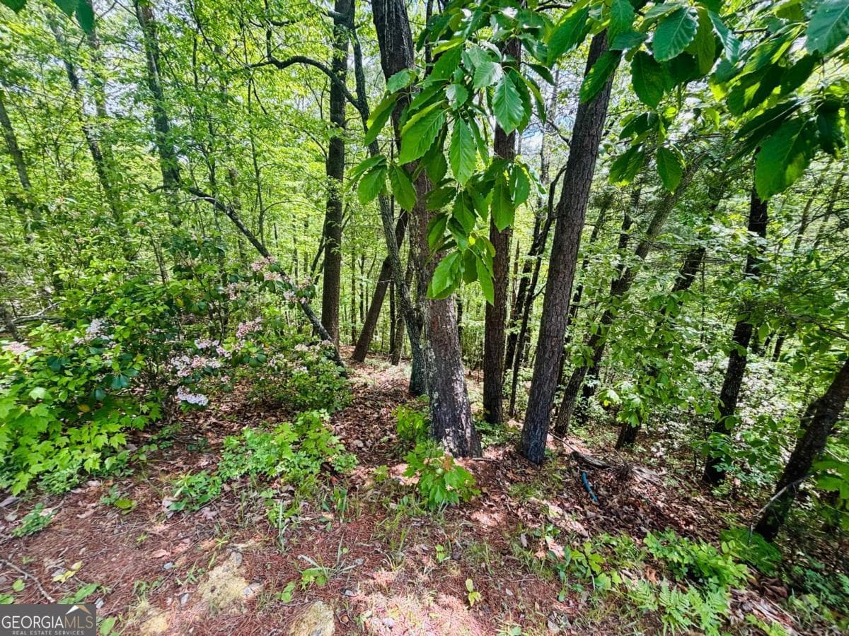 residential lot for sale at 0 Rosen Strasse LOT 141, Helen, GA 30545 — photo 6