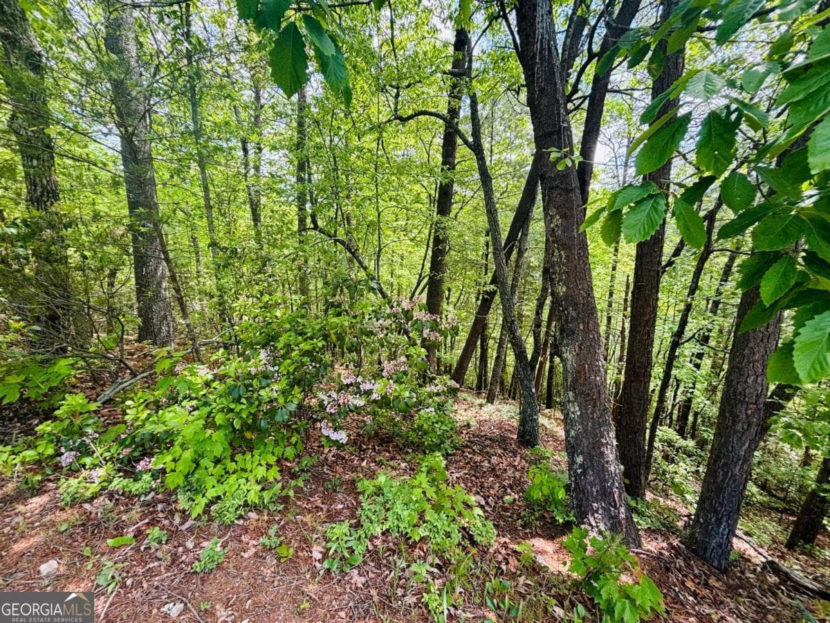 residential lot for sale at 0 Rosen Strasse LOT 141, Helen, GA 30545 — photo 7