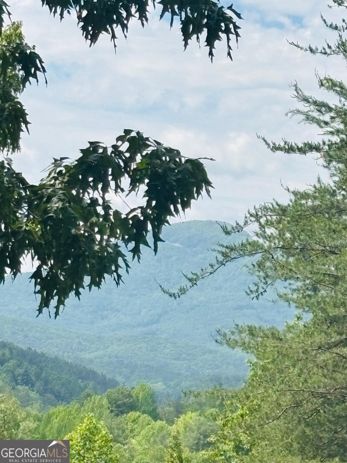 residential lot for sale at 0 Rosen Strasse LOT 141, Helen, GA 30545 — photo 5
