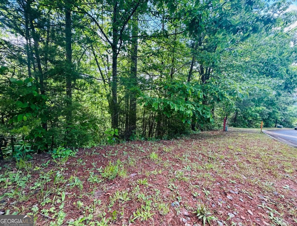 residential lot for sale at 0 Rosen Strasse LOT 141, Helen, GA 30545 — photo 9