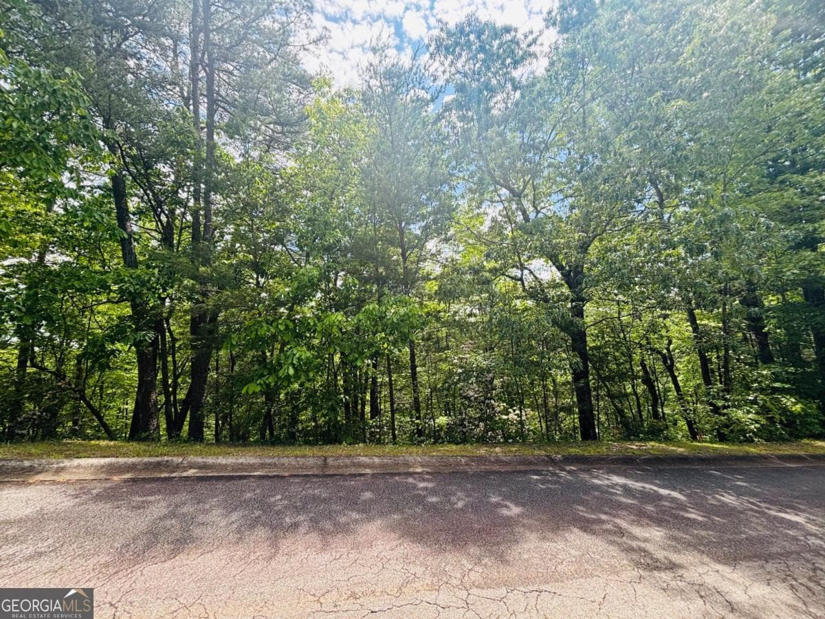 residential lot for sale at 0 Rosen Strasse LOT 141, Helen, GA 30545 — photo 10
