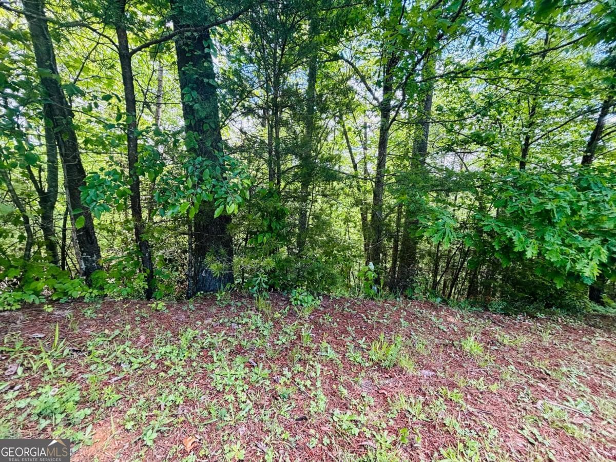 residential lot for sale at 0 Rosen Strasse LOT 141, Helen, GA 30545 — photo 8