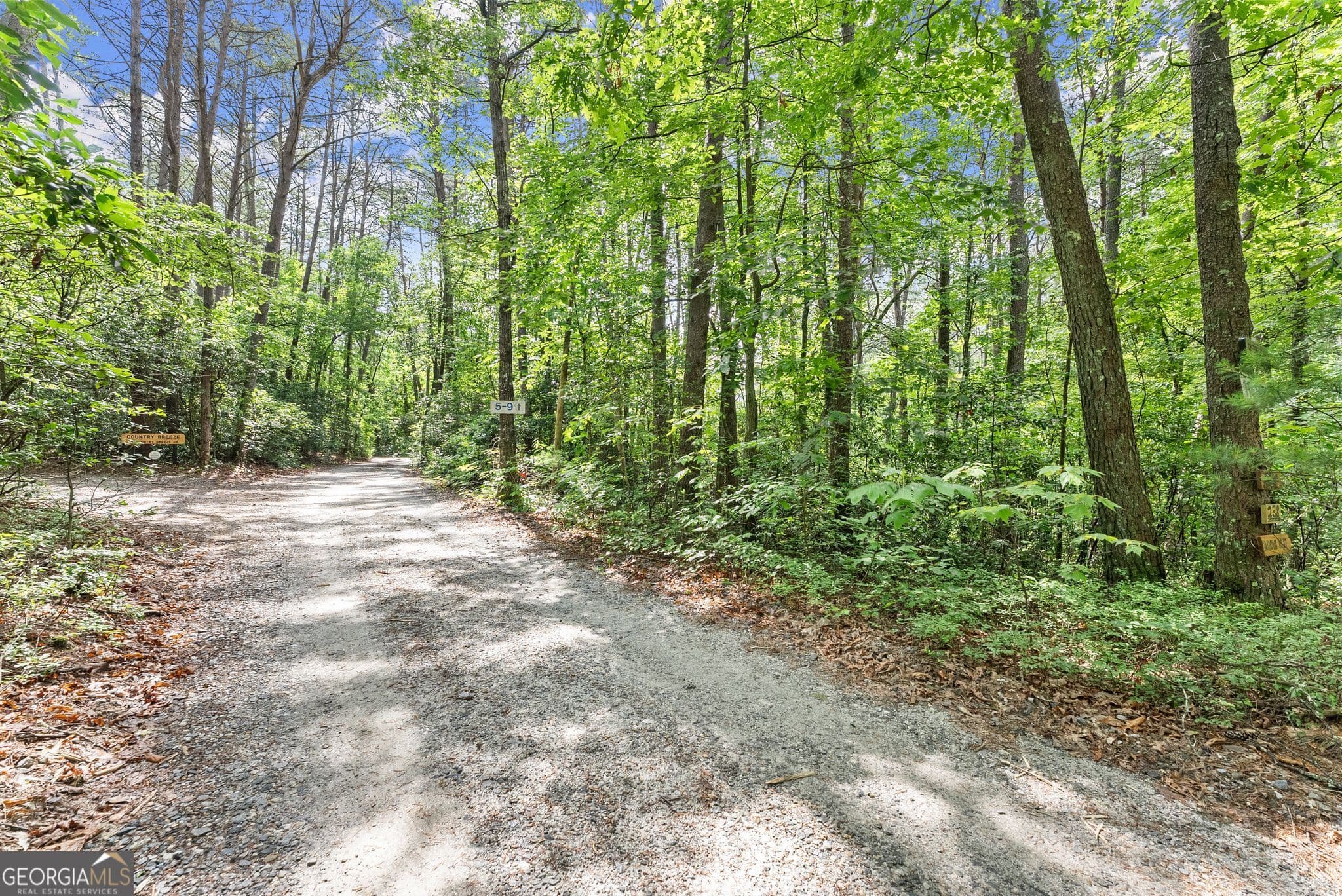 residential lot for sale at 0 Sweetheart Lane, Sautee Nacoochee, GA 30571 — photo 2