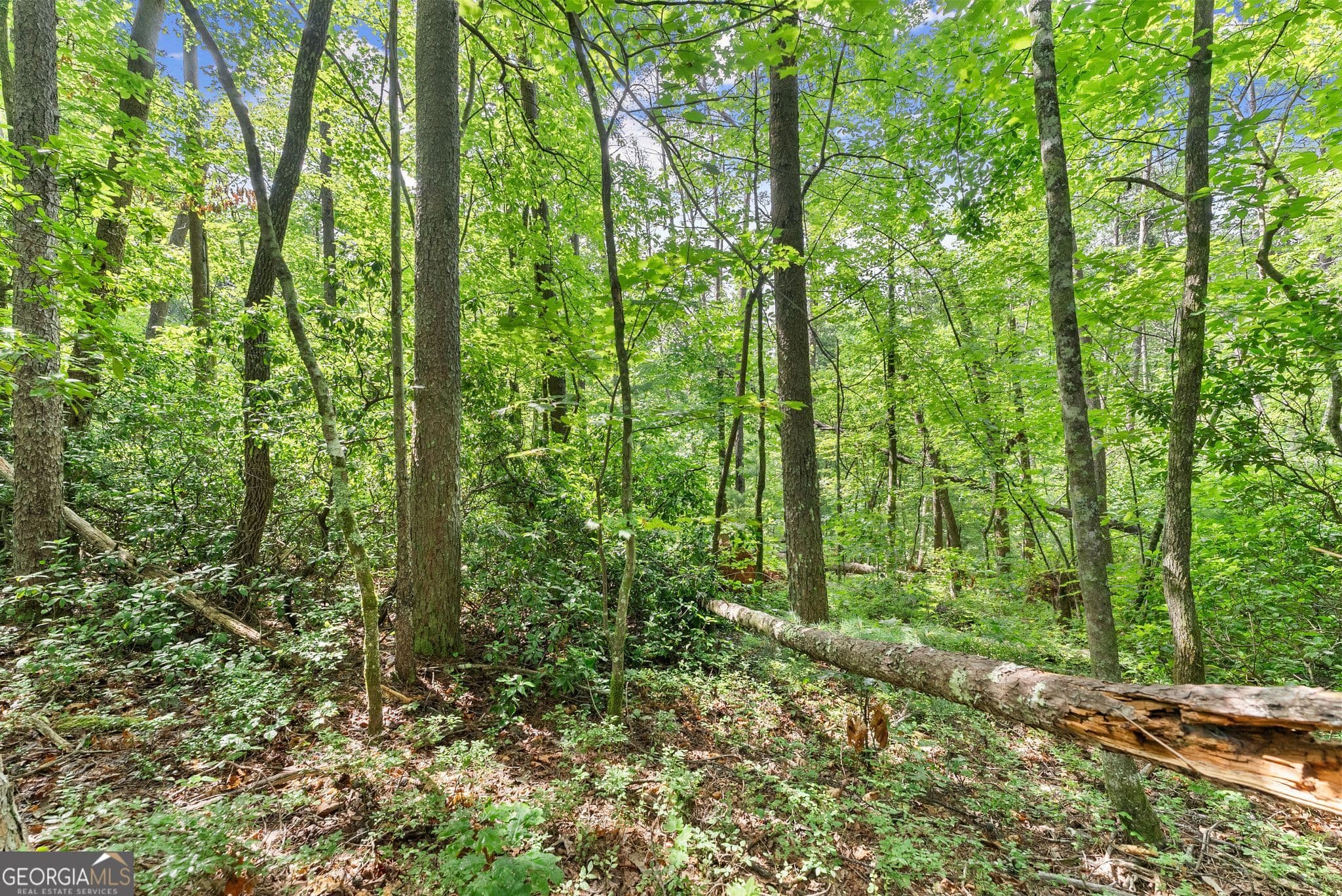 residential lot for sale at 0 Sweetheart Lane, Sautee Nacoochee, GA 30571 — photo 6