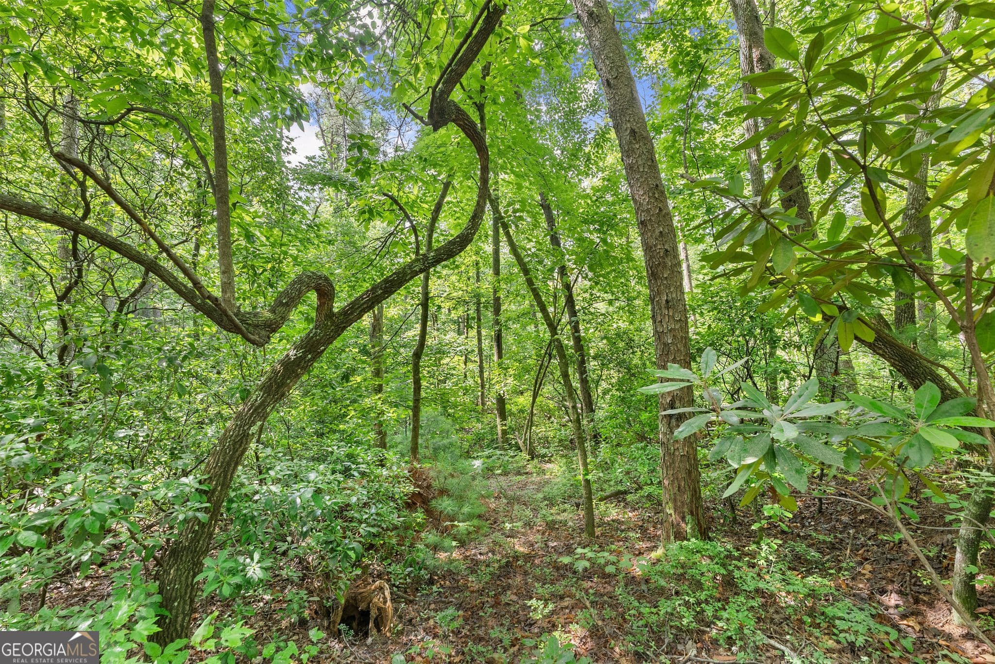 residential lot for sale at 0 Sweetheart Lane, Sautee Nacoochee, GA 30571 — photo 7