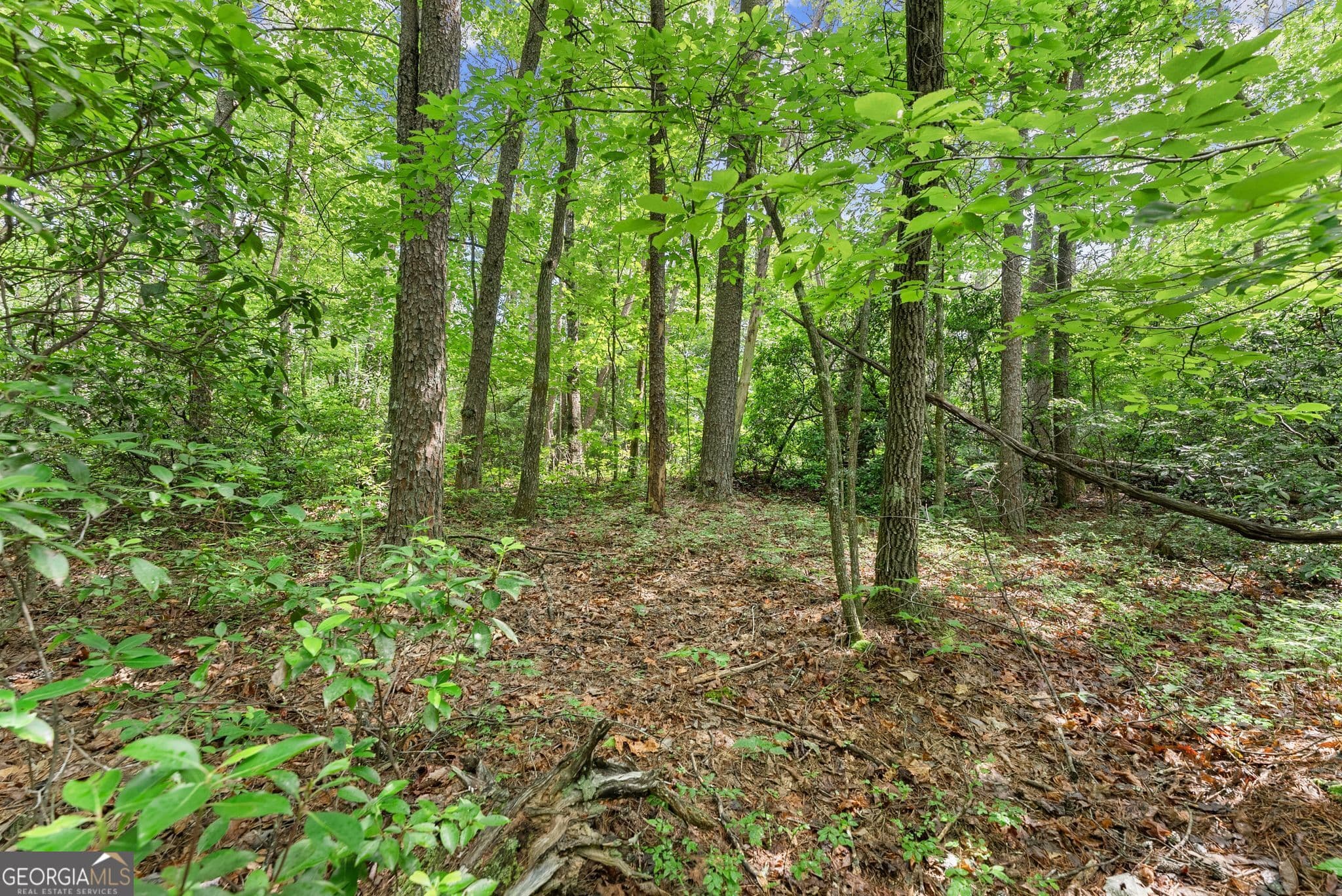 residential lot for sale at 0 Sweetheart Lane, Sautee Nacoochee, GA 30571 — photo 3