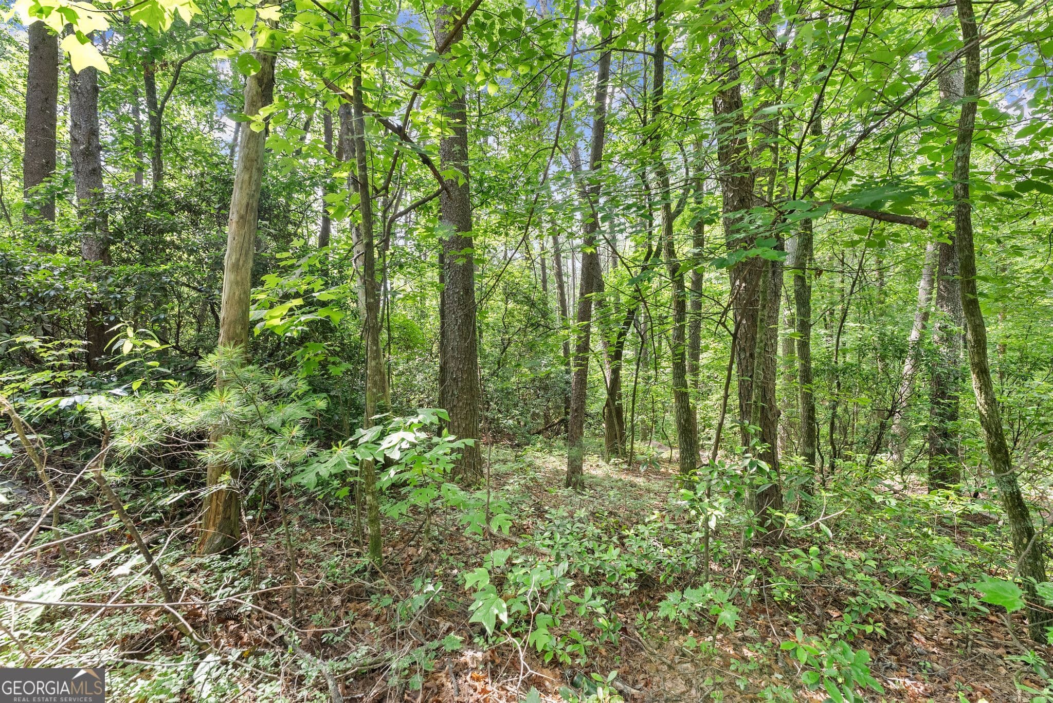 residential lot for sale at 0 Sweetheart Lane, Sautee Nacoochee, GA 30571 — photo 5