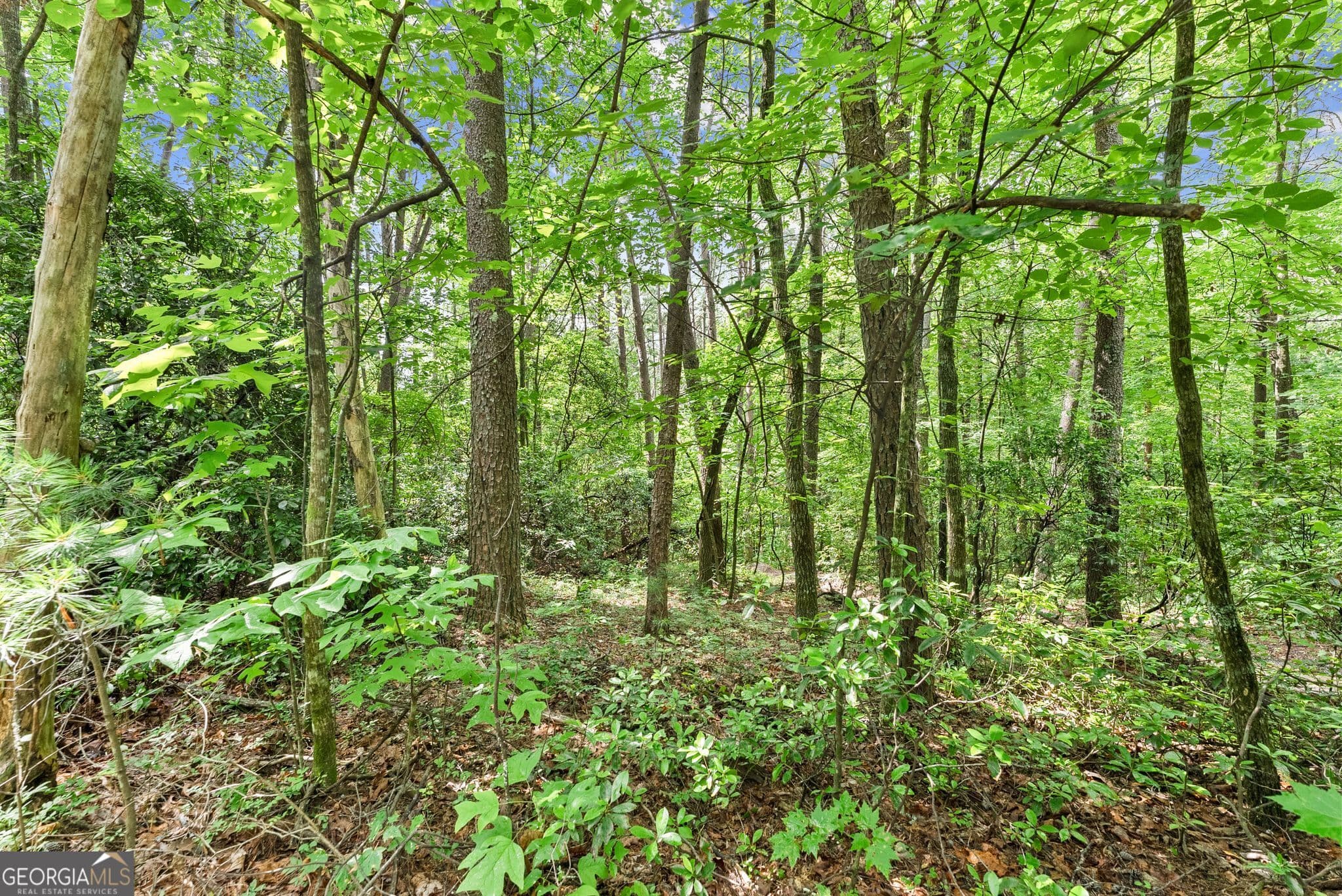 residential lot for sale at 0 Sweetheart Lane, Sautee Nacoochee, GA 30571 — photo 4