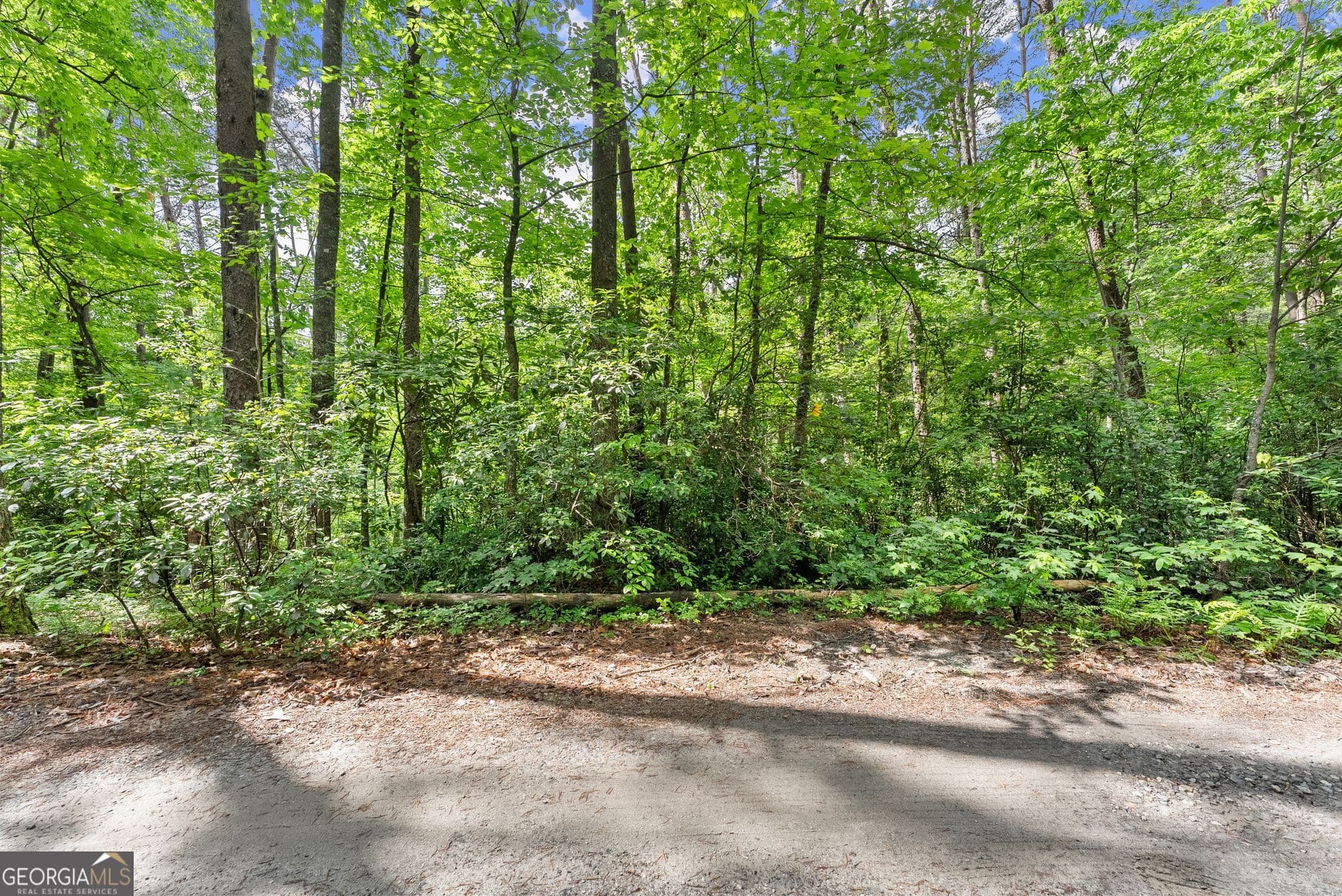 residential lot for sale at 0 Sweetheart Lane, Sautee Nacoochee, GA 30571 — photo 8