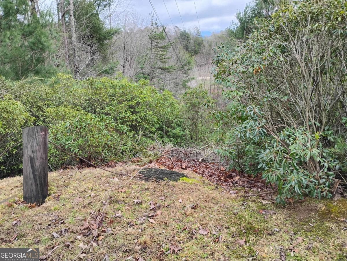 residential lot for sale at LT 166 Shenendoa Drive 166, Ellijay, GA 30540 — photo 2