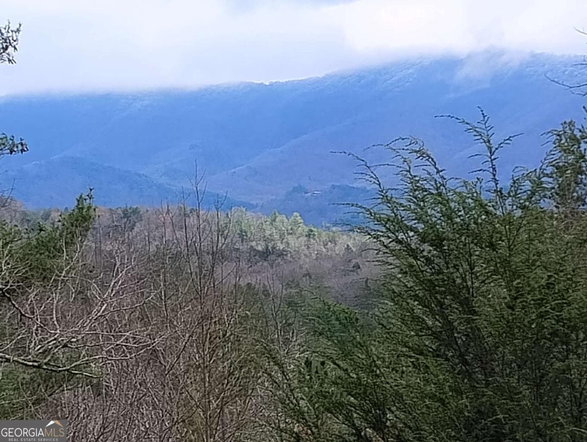 residential lot for sale at LT 166 Shenendoa Drive 166, Ellijay, GA 30540 — photo 6