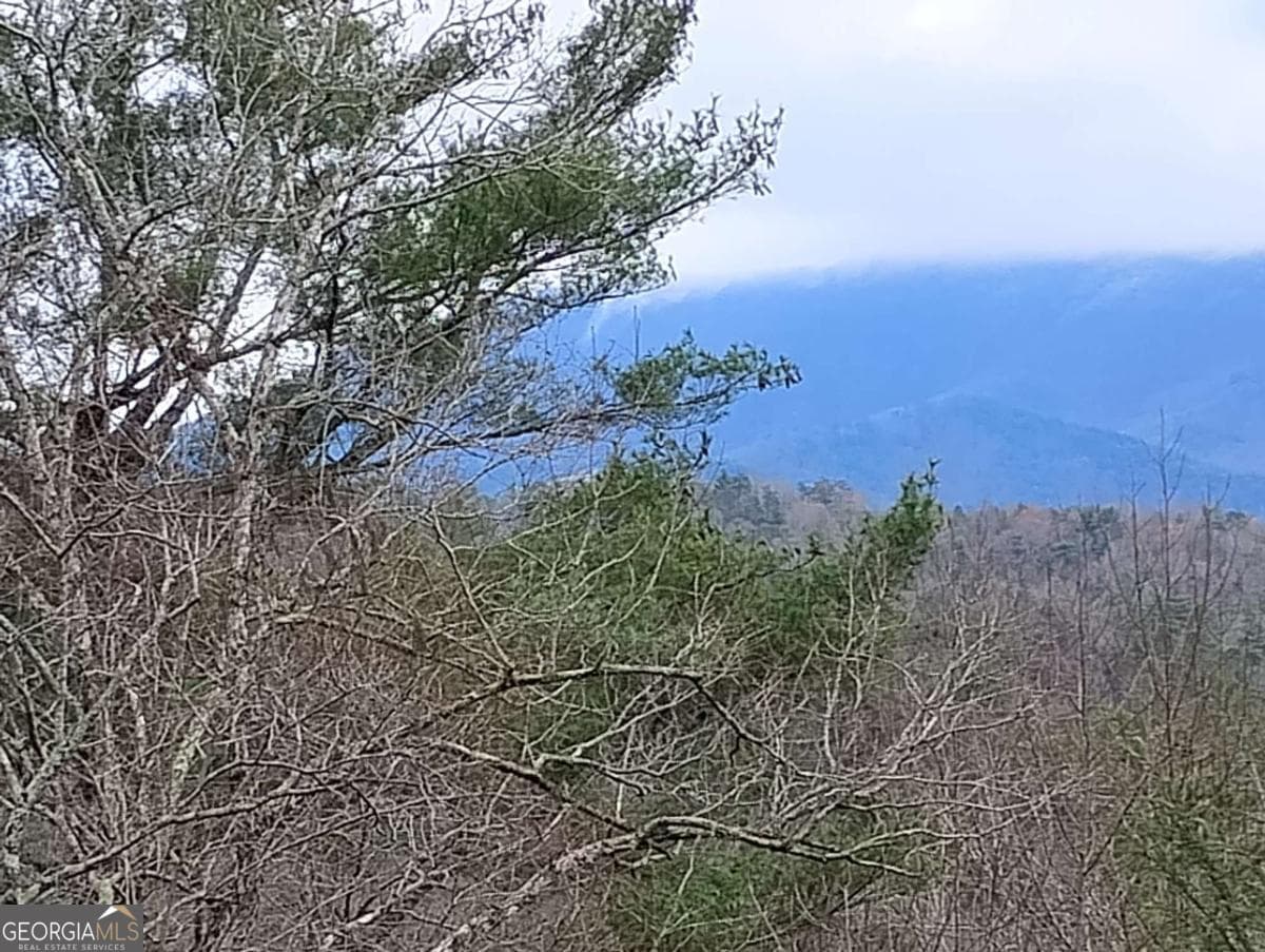 residential lot for sale at LT 166 Shenendoa Drive 166, Ellijay, GA 30540 — photo 7