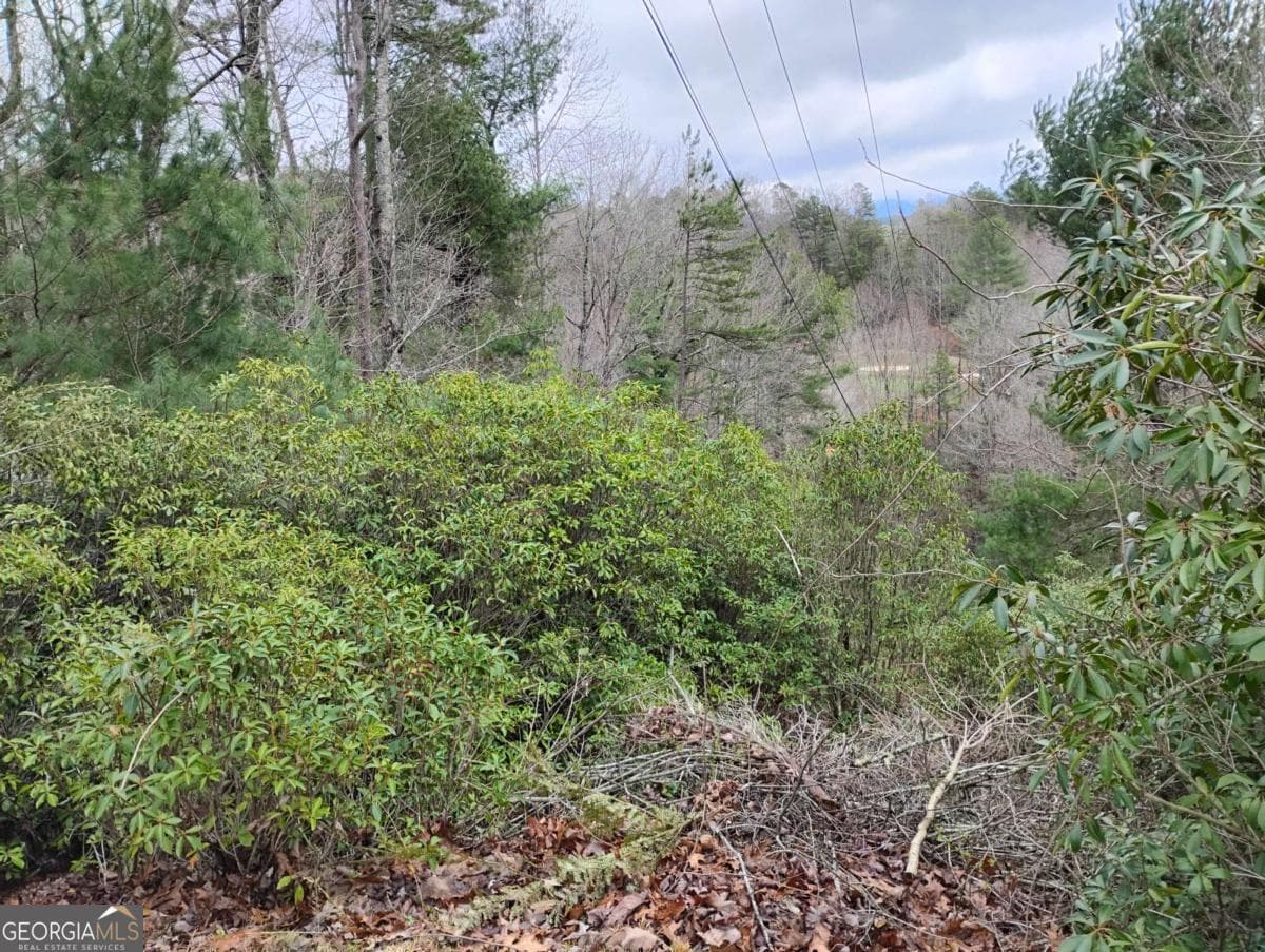residential lot for sale at LT 166 Shenendoa Drive 166, Ellijay, GA 30540 — photo 3