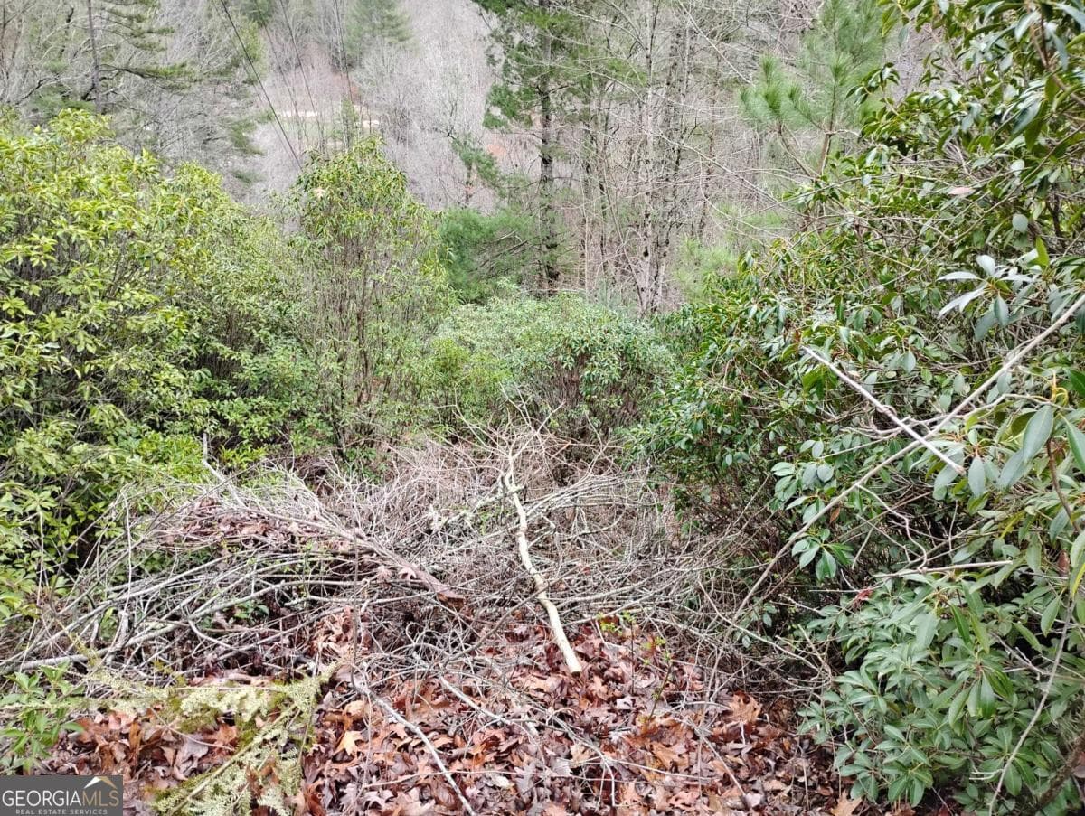 residential lot for sale at LT 166 Shenendoa Drive 166, Ellijay, GA 30540 — photo 1 of 12