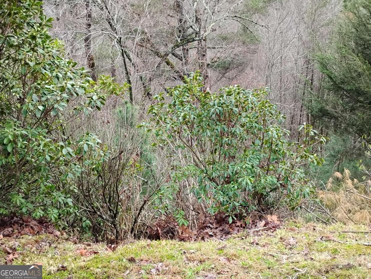 residential lot for sale at LT 166 Shenendoa Drive 166, Ellijay, GA 30540 — photo 5
