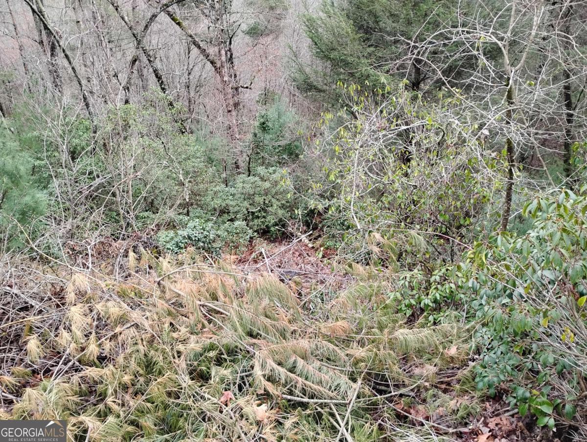 residential lot for sale at LT 166 Shenendoa Drive 166, Ellijay, GA 30540 — photo 9