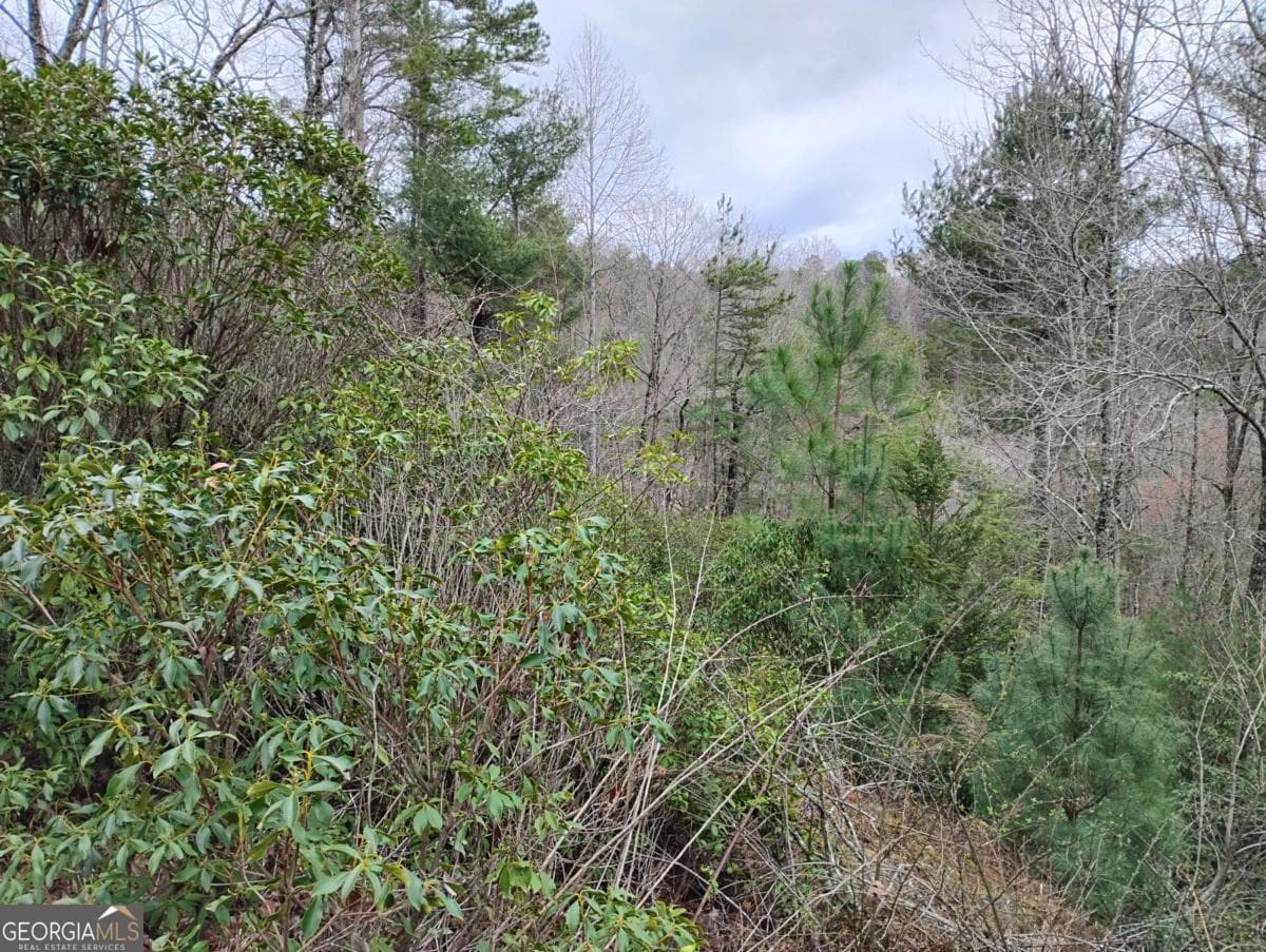 residential lot for sale at LT 166 Shenendoa Drive 166, Ellijay, GA 30540 — photo 10