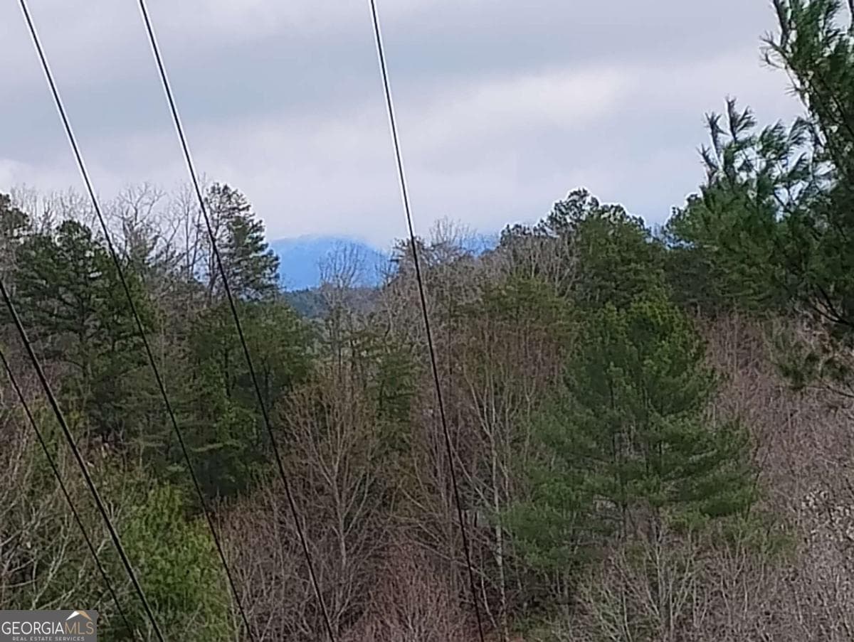 residential lot for sale at LT 166 Shenendoa Drive 166, Ellijay, GA 30540 — photo 4