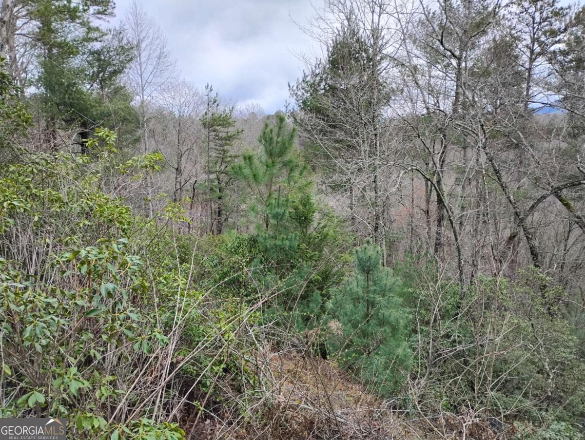 residential lot for sale at LT 166 Shenendoa Drive 166, Ellijay, GA 30540 — photo 8