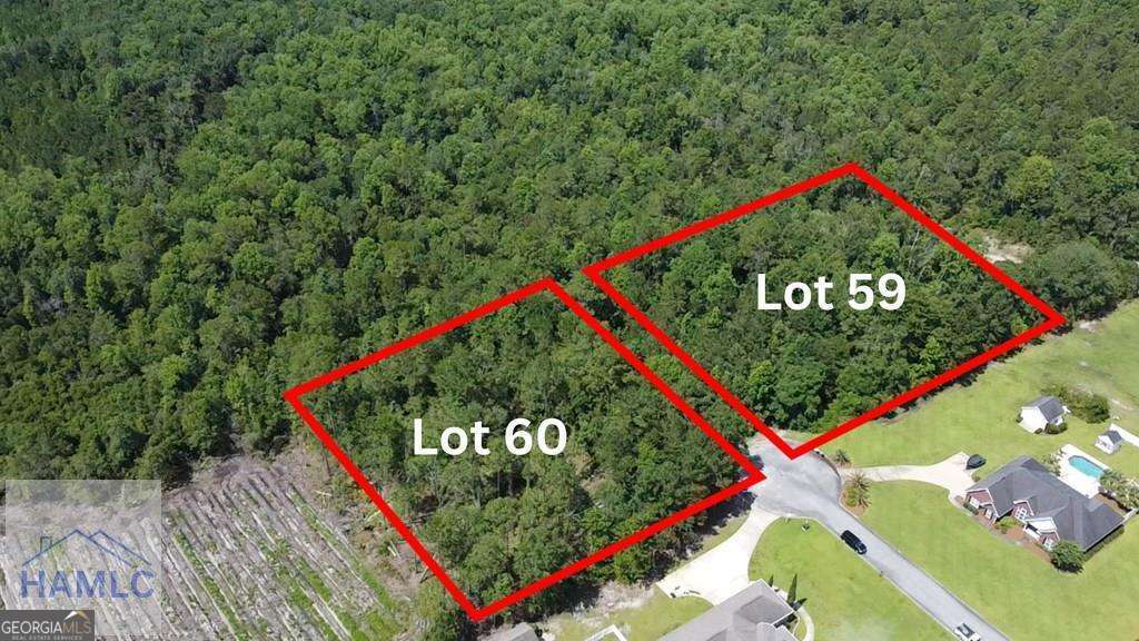 residential lot for sale at 112 Vixenhill Drive, Jesup, GA 31546 — photo 2