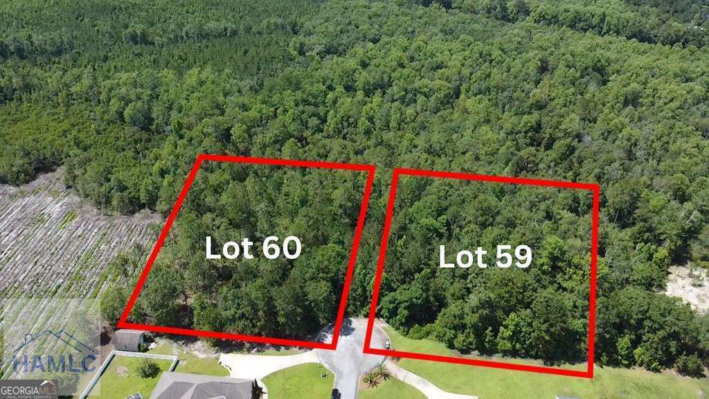 residential lot for sale at 112 Vixenhill Drive, Jesup, GA 31546 — photo 1 of 6
