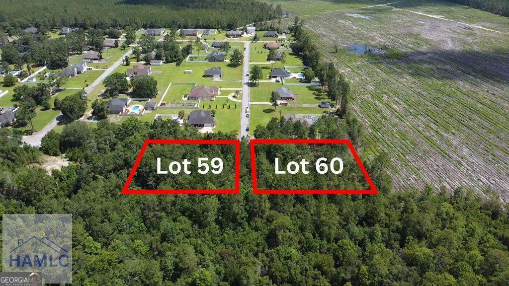 residential lot for sale at 112 Vixenhill Drive, Jesup, GA 31546 — photo 5