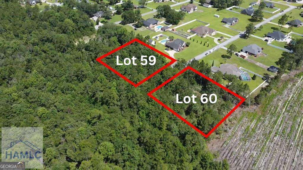 residential lot for sale at 112 Vixenhill Drive, Jesup, GA 31546 — photo 4