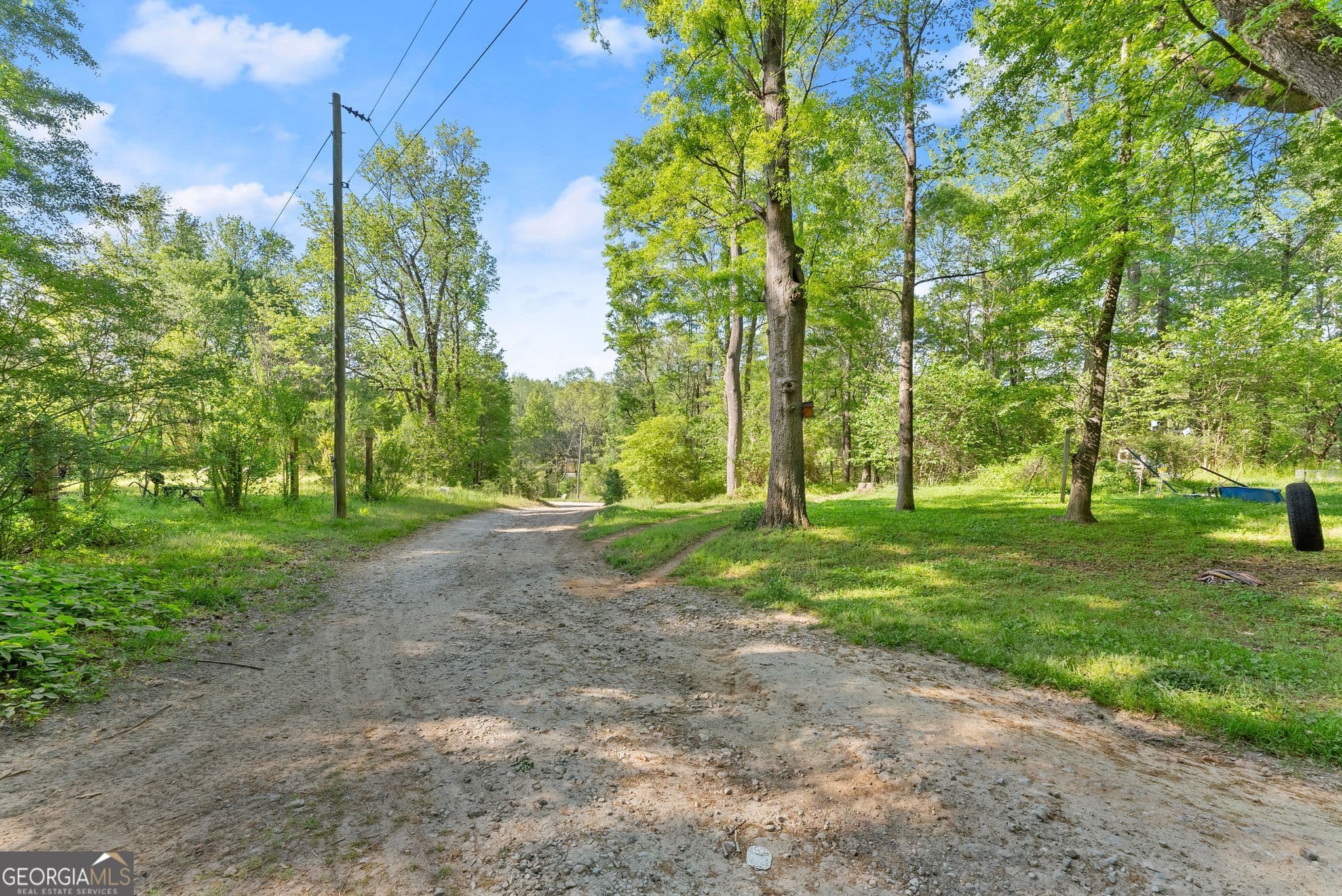 agriculture for sale at 360 Davenport Road, Braselton, GA 30517 — photo 7