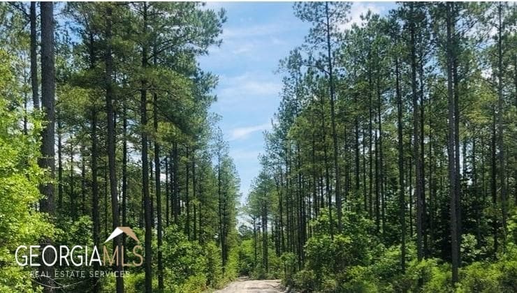 residential lot for sale at LOT 1 Baker Blvd/cr 4, St. George, GA 31562 — photo 6