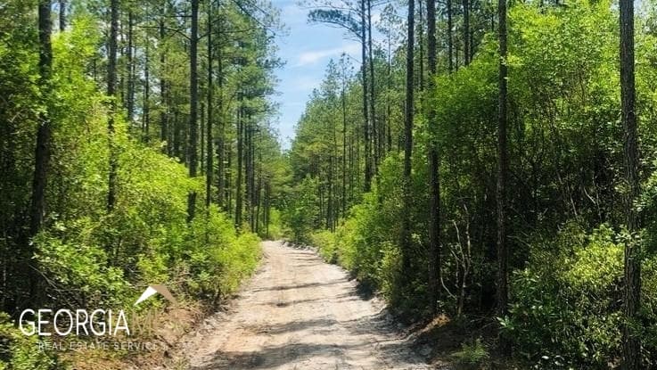 residential lot for sale at LOT 1 Baker Blvd/cr 4, St. George, GA 31562 — photo 7