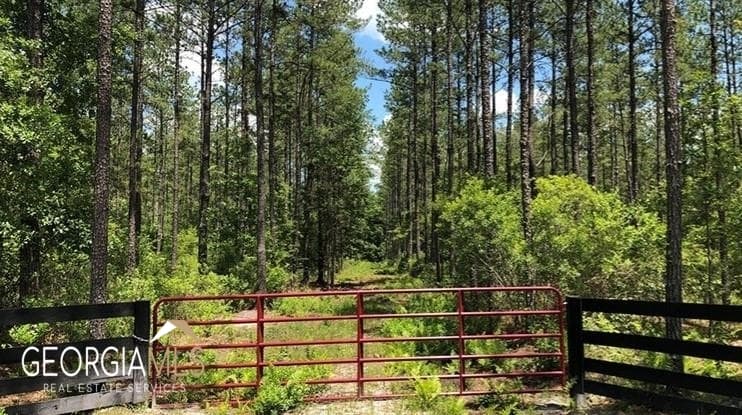 residential lot for sale at LOT 1 Baker Blvd/cr 4, St. George, GA 31562 — photo 3