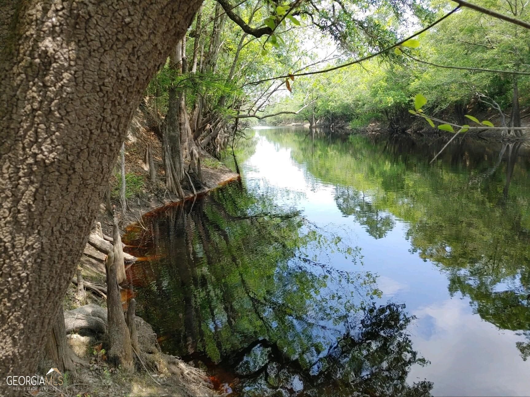 residential lot for sale at LOT 1 Baker Blvd/cr 4, St. George, GA 31562