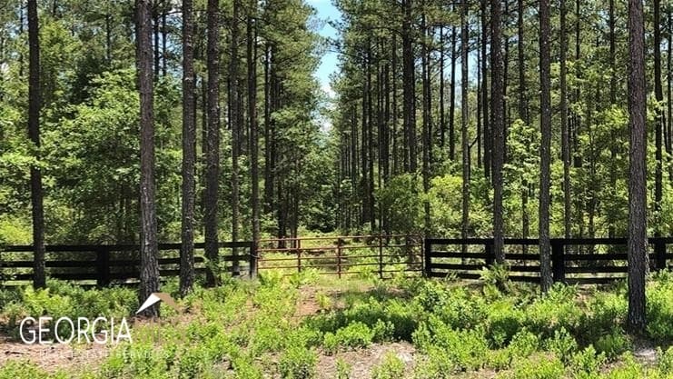 residential lot for sale at LOT 1 Baker Blvd/cr 4, St. George, GA 31562 — photo 5