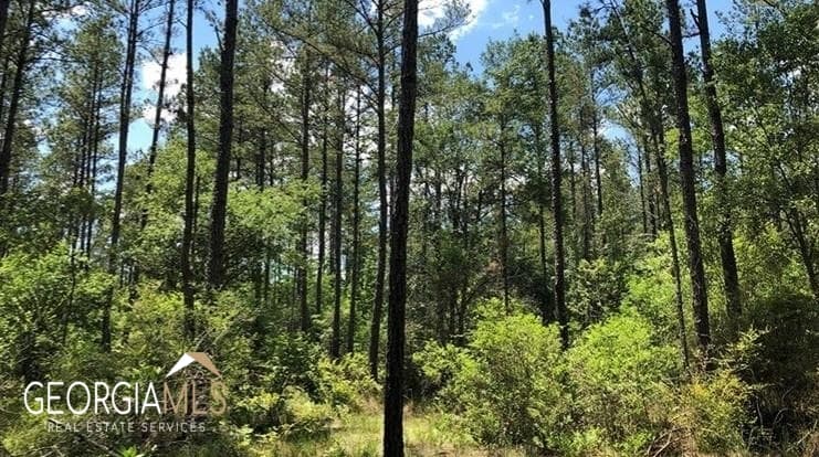 residential lot for sale at LOT 1 Baker Blvd/cr 4, St. George, GA 31562 — photo 9