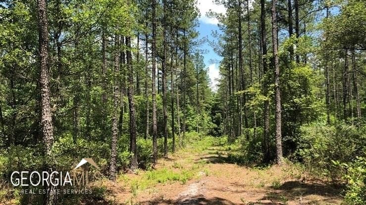 residential lot for sale at LOT 1 Baker Blvd/cr 4, St. George, GA 31562 — photo 4