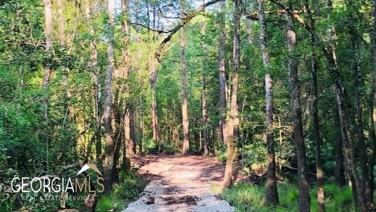 residential lot for sale at LOT 1 Baker Blvd/cr 4, St. George, GA 31562 — photo 8