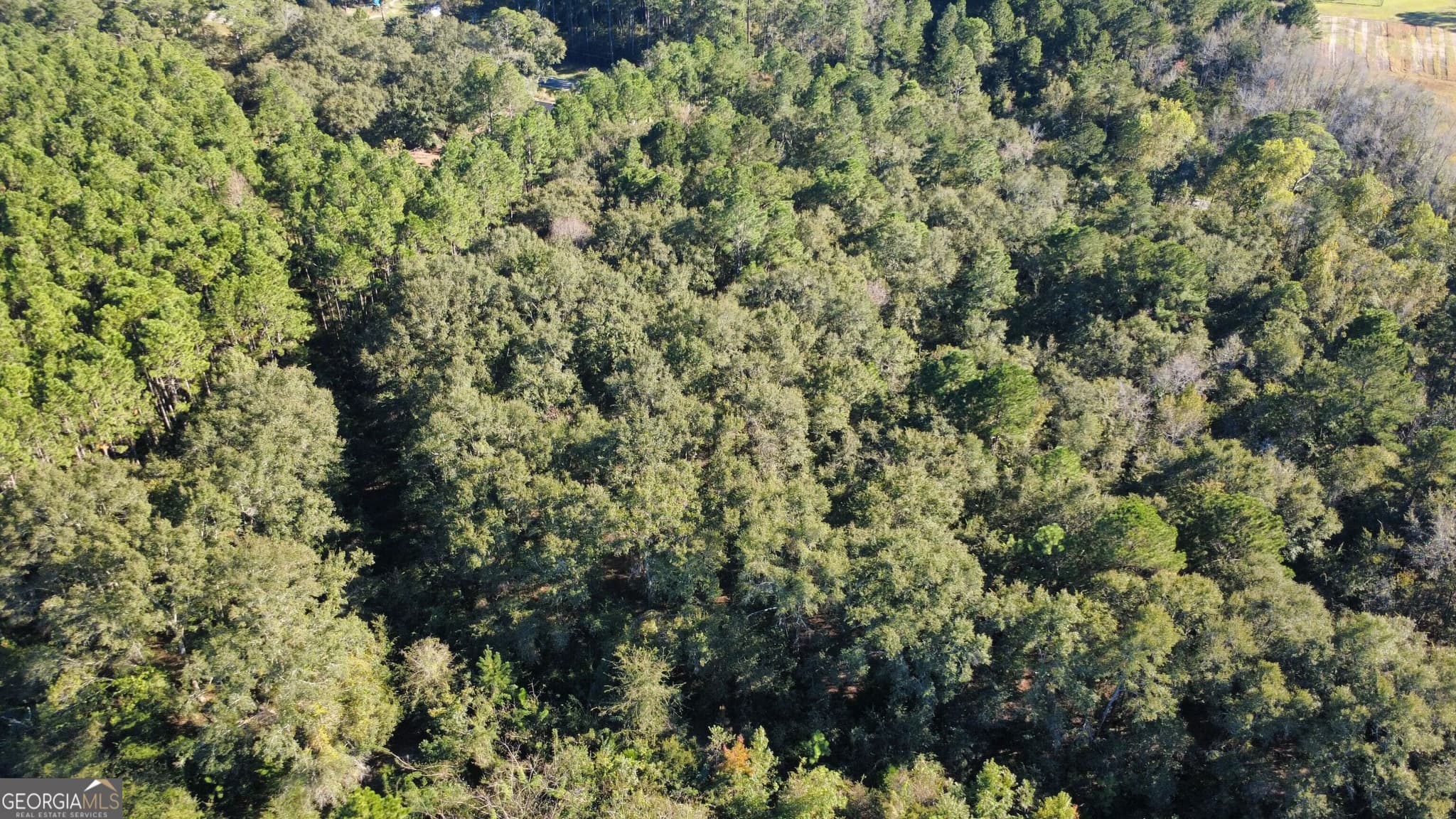 residential lot for sale at 0 Delta Road, Fitzgerald, GA 31750 — photo 6