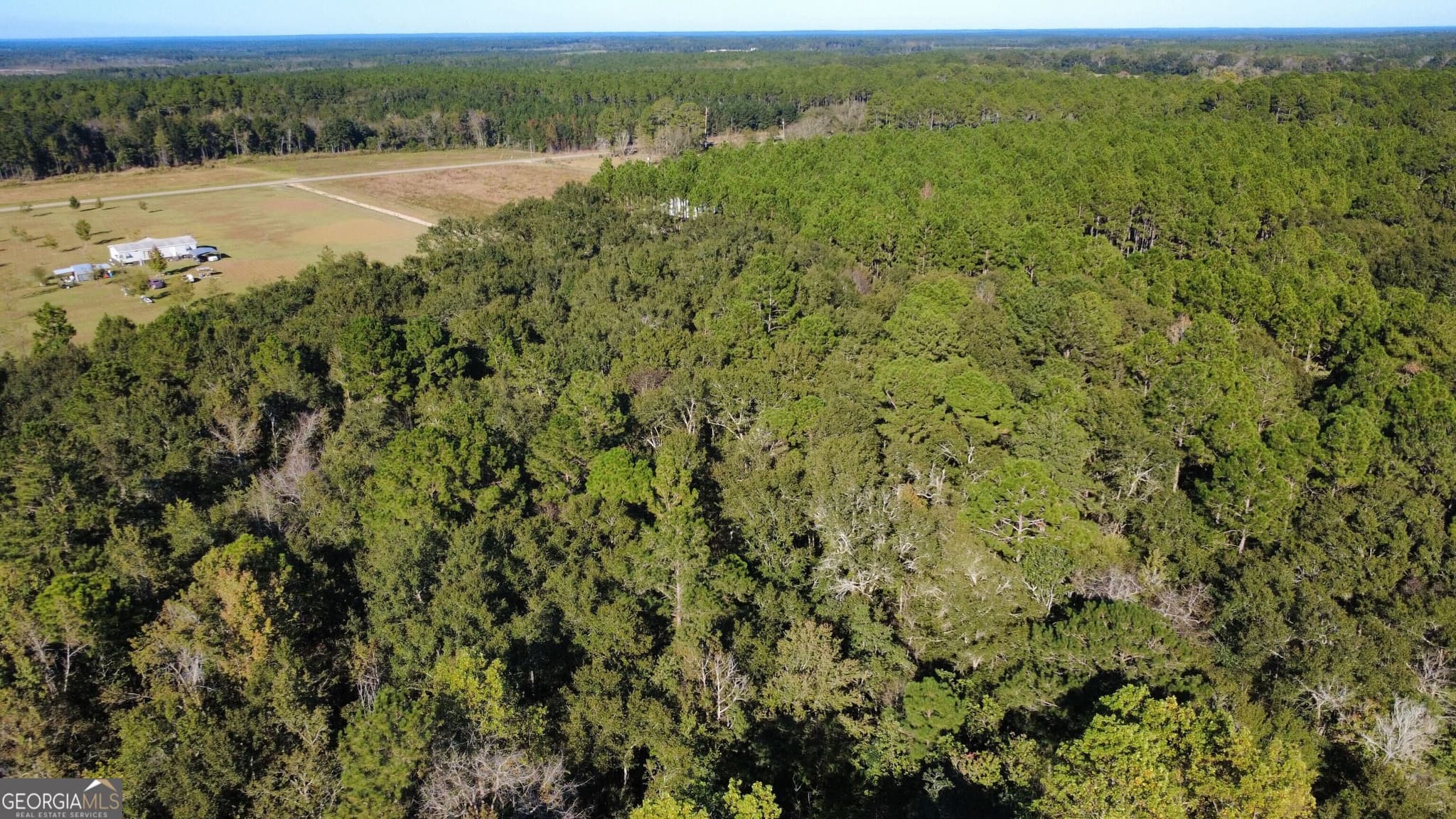 residential lot for sale at 0 Delta Road, Fitzgerald, GA 31750 — photo 5