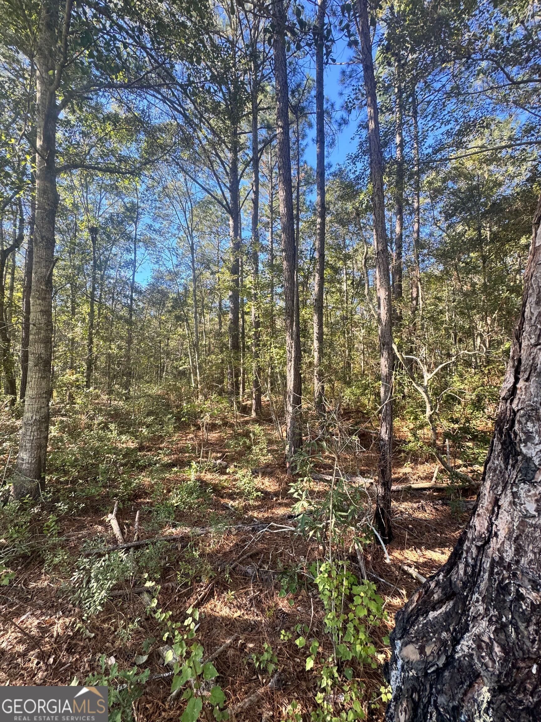 residential lot for sale at 0 Delta Road, Fitzgerald, GA 31750 — photo 9
