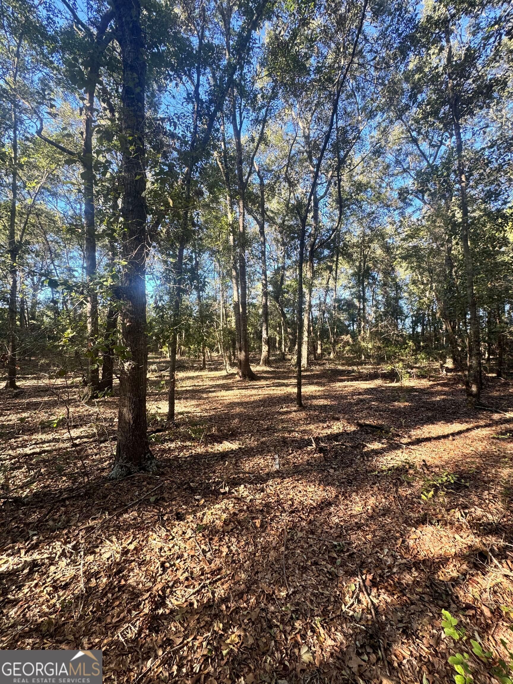residential lot for sale at 0 Delta Road, Fitzgerald, GA 31750 — photo 10