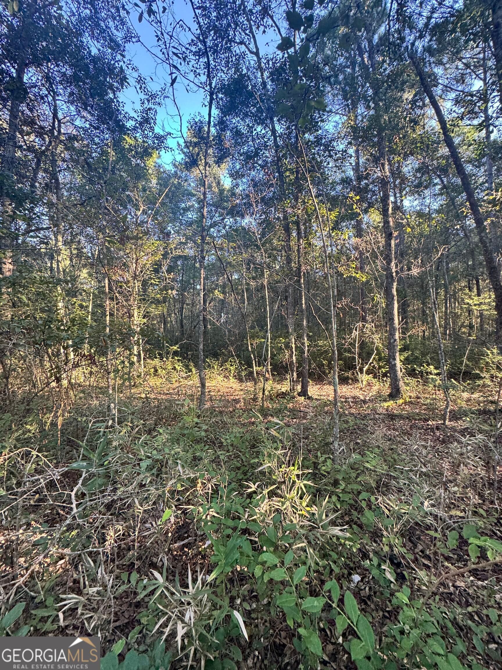residential lot for sale at 0 Delta Road, Fitzgerald, GA 31750 — photo 8