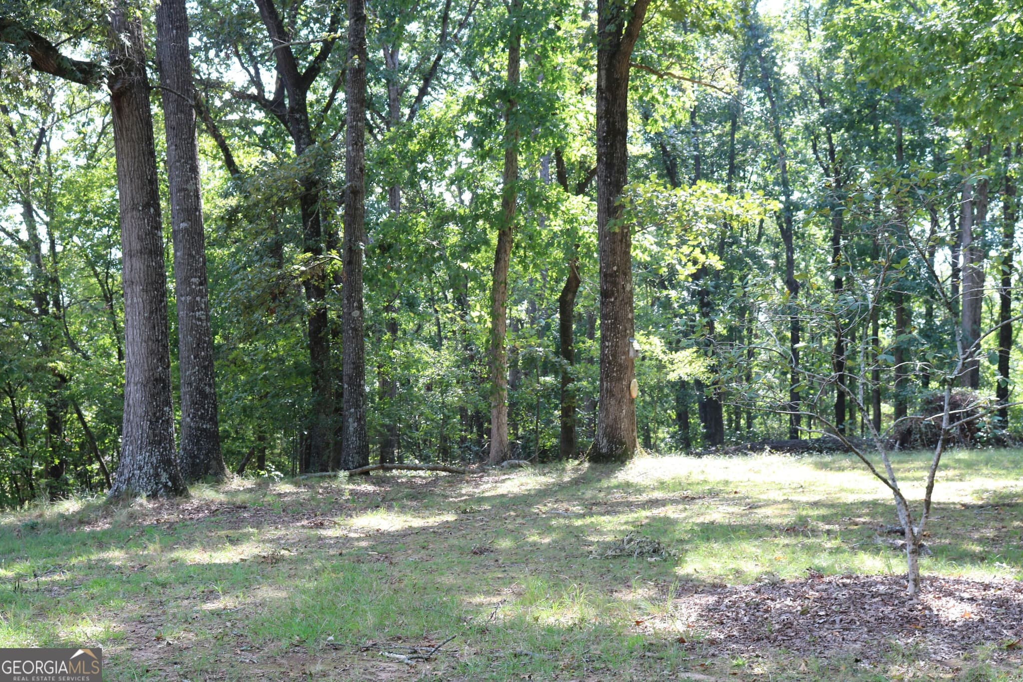 3 bedroom, 2 bathroom, 1,344 sq ft single family residence for sale at 2096 Roy Woods Road, Comer, GA 30629 — photo 3