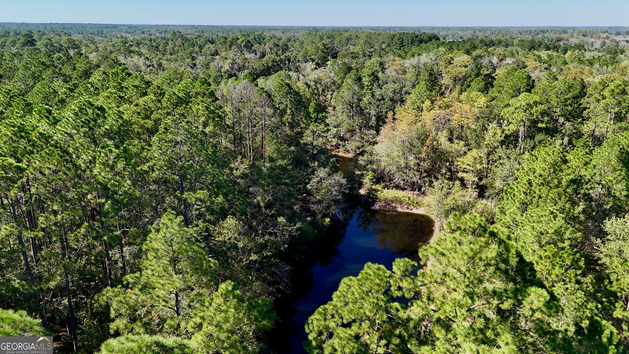 unimproved land for sale at 4404 Manor Millwood Road, Manor, GA 31550 — photo 2