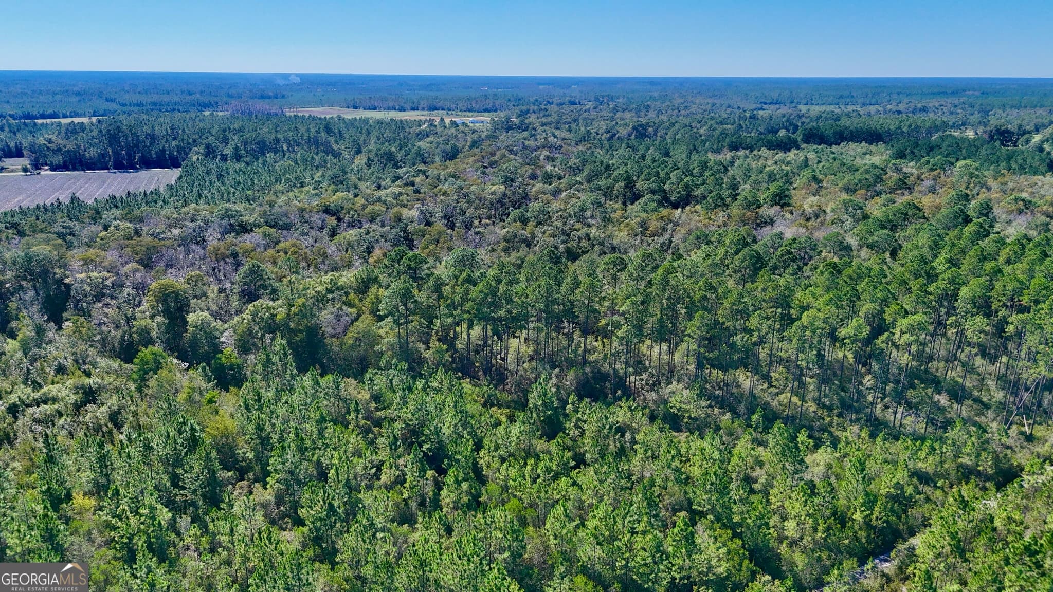 unimproved land for sale at 4404 Manor Millwood Road, Manor, GA 31550 — photo 6