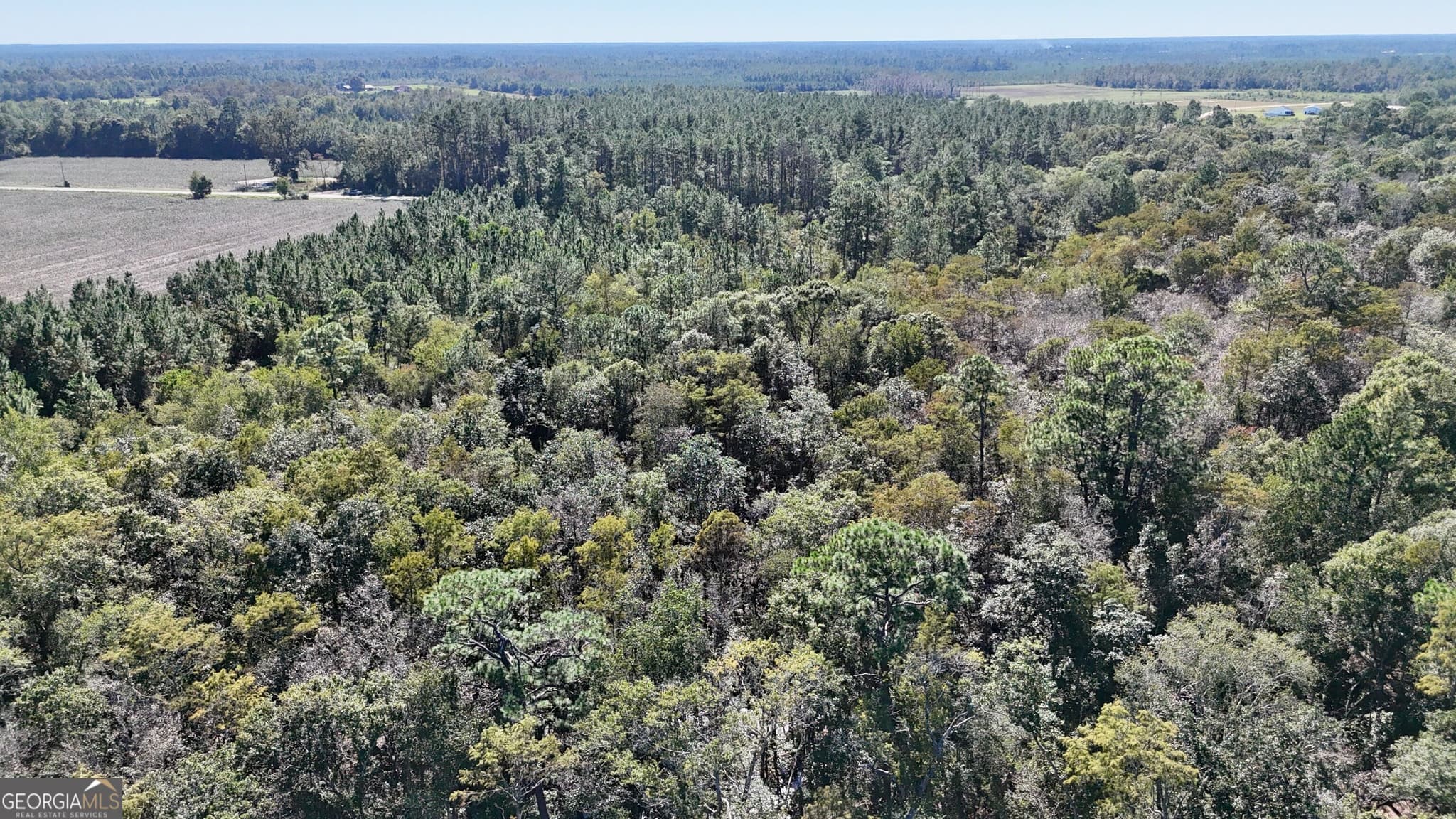 unimproved land for sale at 4404 Manor Millwood Road, Manor, GA 31550 — photo 7