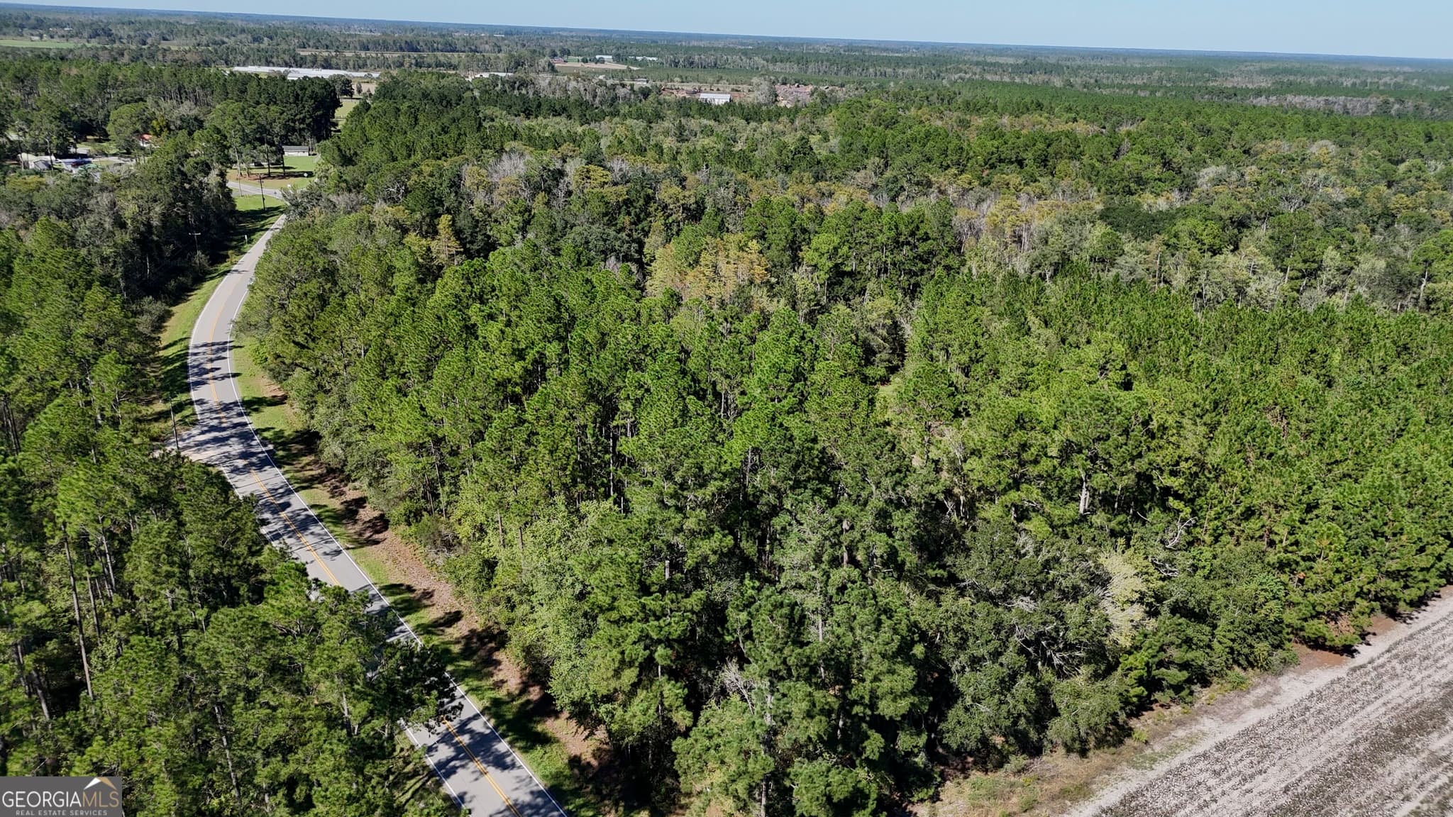 unimproved land for sale at 4404 Manor Millwood Road, Manor, GA 31550 — photo 3