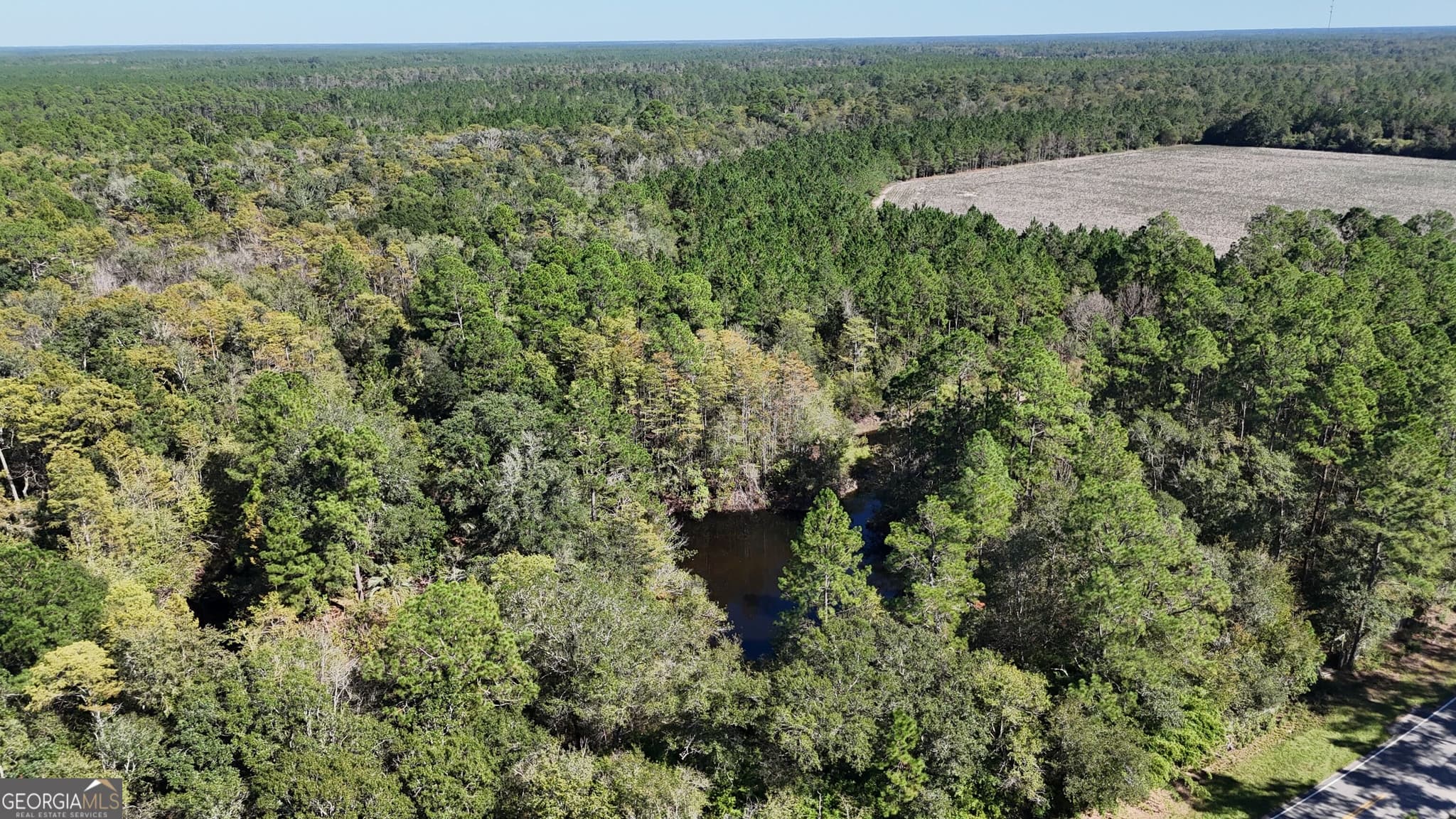 unimproved land for sale at 4404 Manor Millwood Road, Manor, GA 31550
