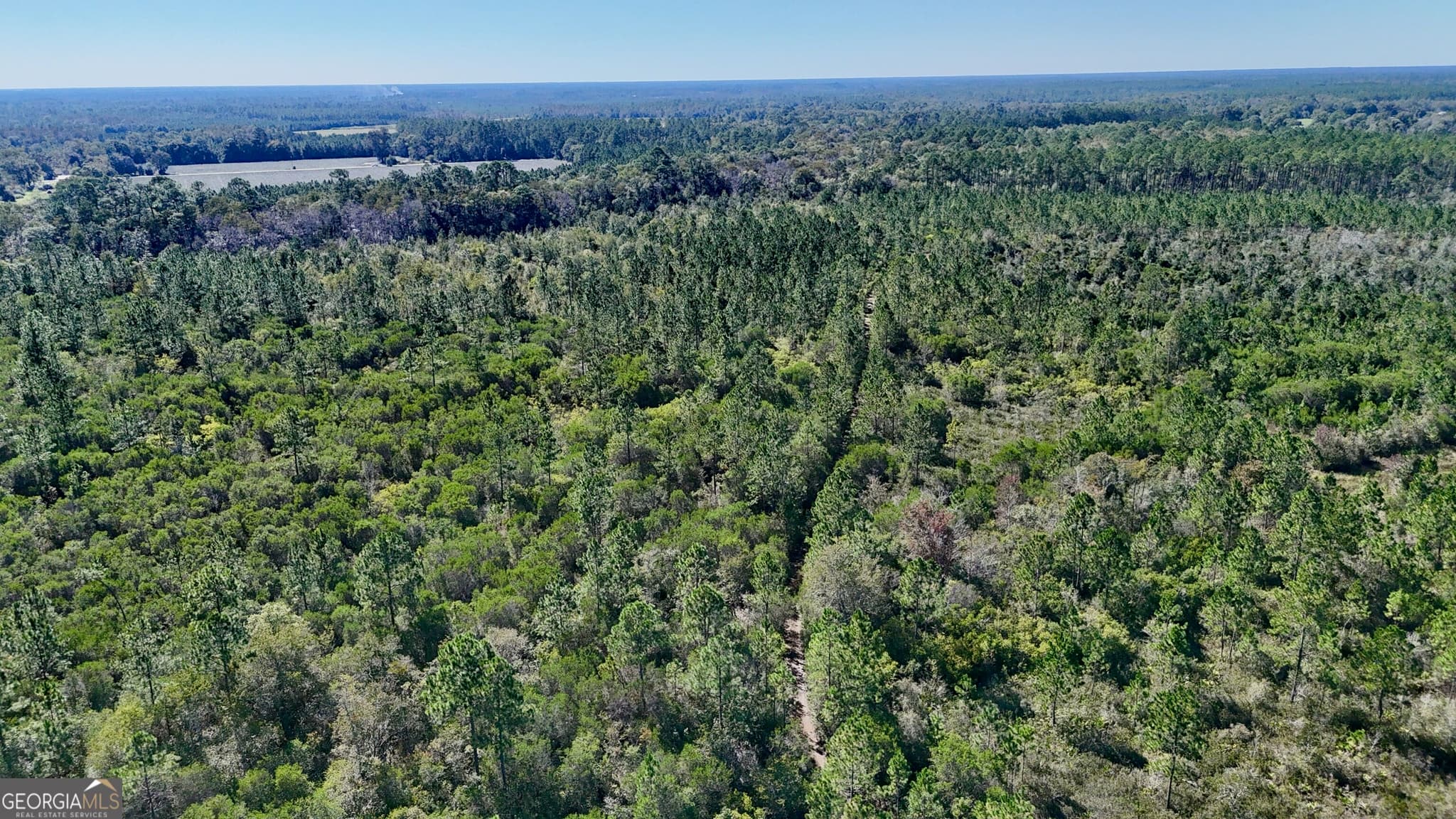 unimproved land for sale at 4404 Manor Millwood Road, Manor, GA 31550 — photo 5